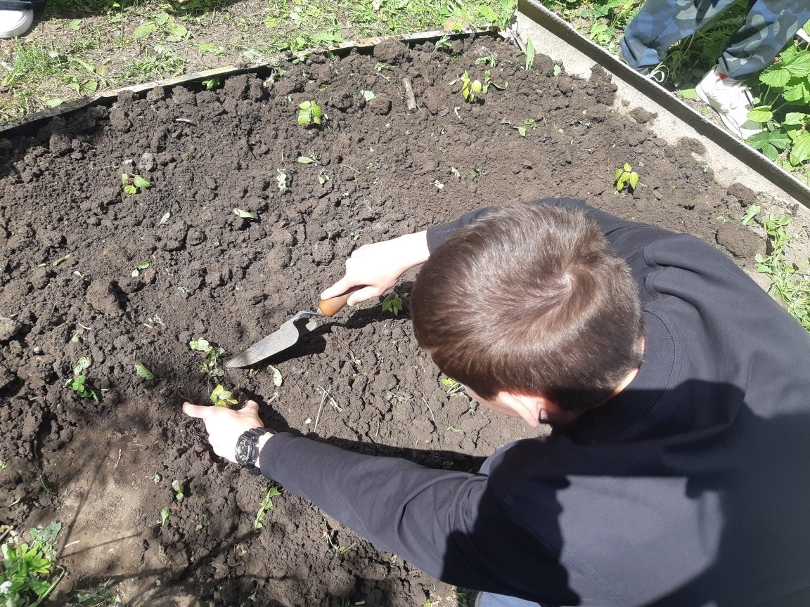 Точка роста.