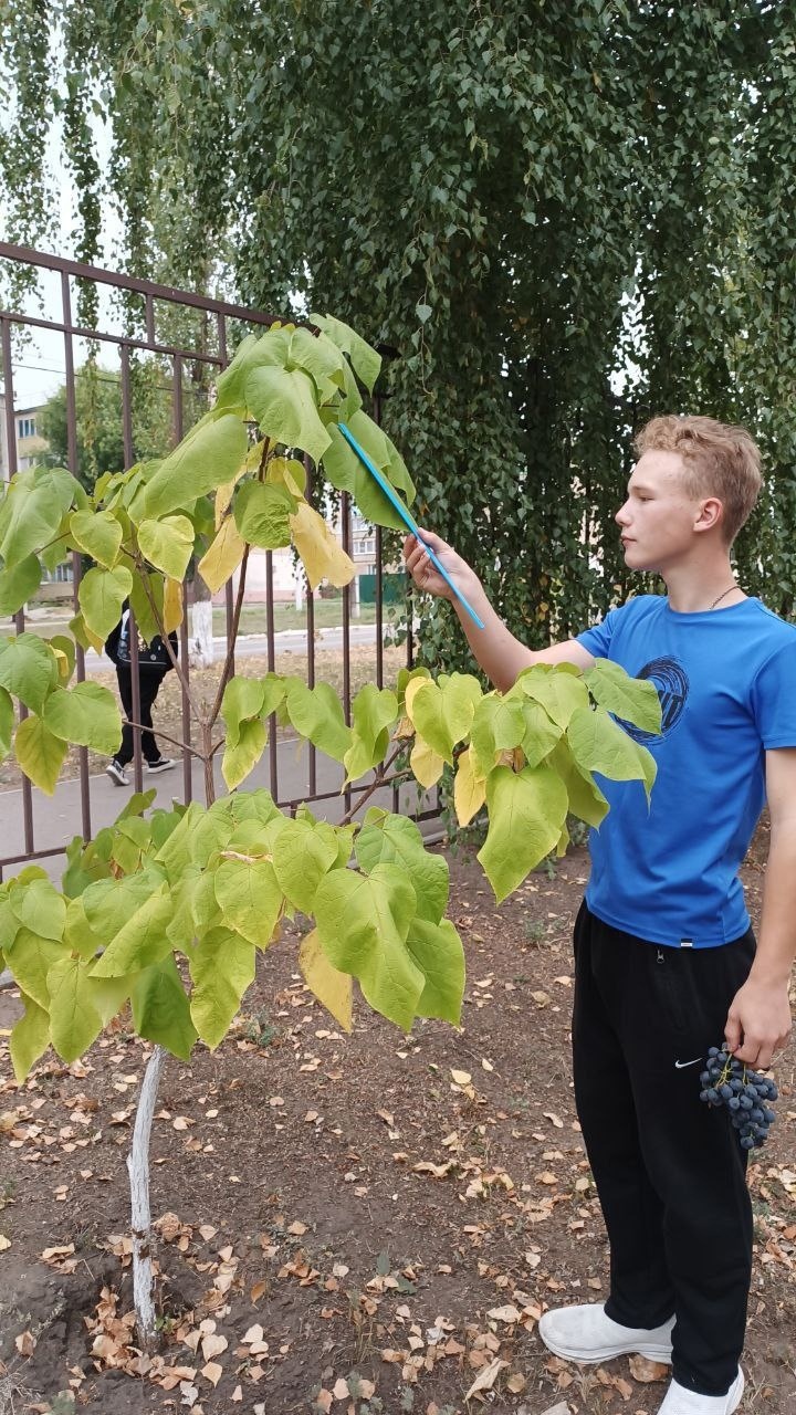 Точка роста .