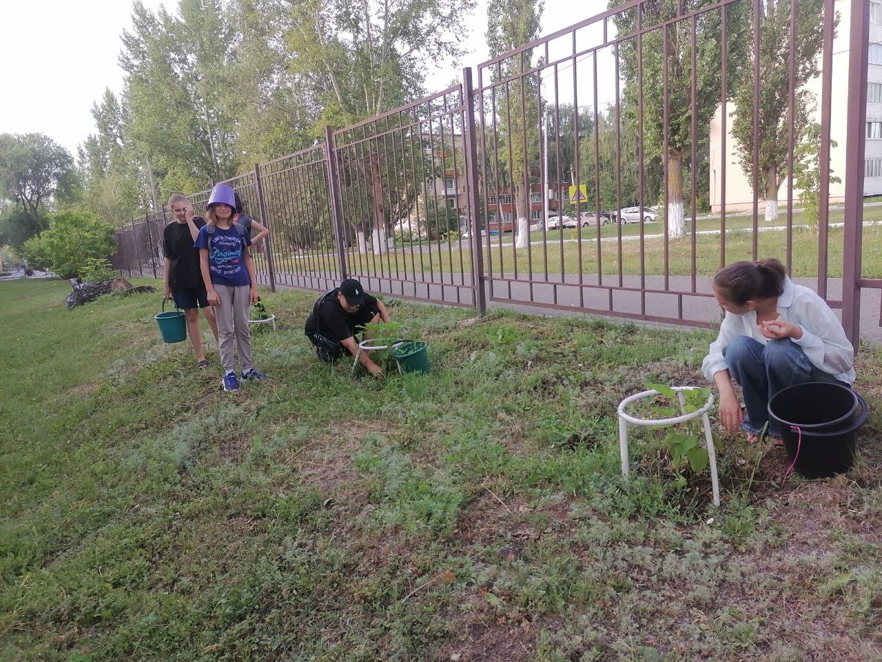 Точка роста.